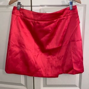 NWT Zara Women's Pink Skirt XL